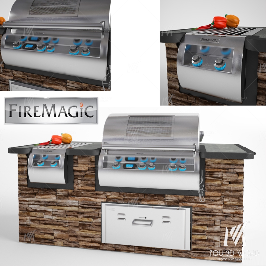 FireMagic Bbq